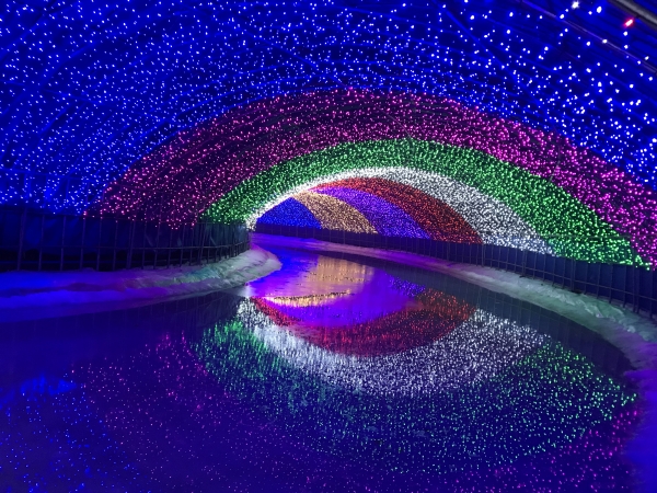 청양군 알프스마을 제10회 명품 칠갑산 얼음분수축제는 100만개의 화려한 LED조명으로 관람객의 눈길을 사로잡고 있다. 사진은 보름달 얼음썰매장.
