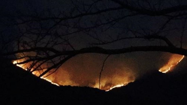 산불의 야간모습.(자료사진)