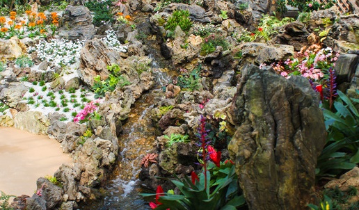 세종시 베어트리파크 온실 만경비원이 다육식물과 암석, 작은 폭포 등 봄 꽃 가득한 정원으로 새롭게 변신했다.