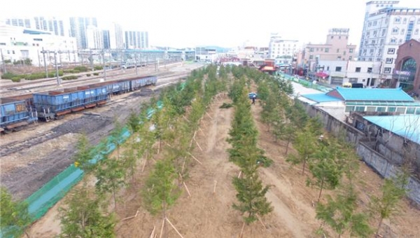 22일 세종시는 지난해 10월부터 추진한 조치원역 철도변의 도시숲 조성사업 1단계 공사를 마무리했다 밝혔다.