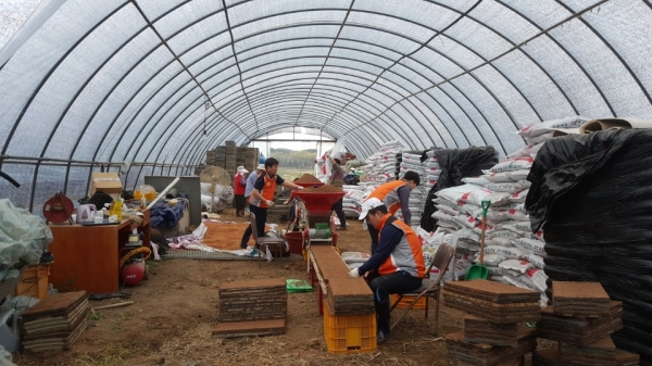 NH농협은행 충남영업본부 임직원들은 25일 청양 복사꽃 피는 마을에서 농촌일손돕기 활동을 펼쳤다.