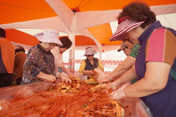 관광객들이 지난해 열린 청양고추구기자축제에서 김치체험을 하고 있다.
