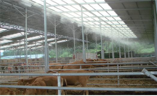 축사의 경우 환풍기와 안개분무를 효과적으로 이용하면 가축의 체감 온도를 낮추는 데 매우 효과적이다.