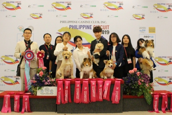 연암대학교는 동물보호계열 선수단이 2019 필리핀 서킷 국제도그쇼 대회에 참가해 챔피언 타이틀 3개를 획득했다고 22일 밝혔다.