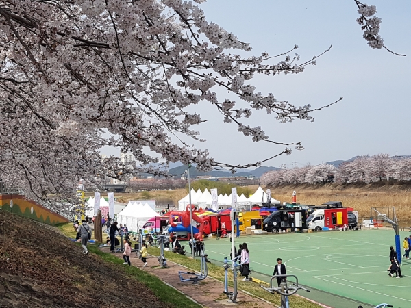 7일까지 이틀간 ‘2019 조치원 봄꽃축제’가 조치원역과 중심가로와 조천변 일원에서 '청춘만발–조치원의 봄, 문화의 꽃을 피우다’를 주제로 성황리에 열렸다.