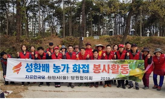 자유한국당 천안을 당원협의회는 18일 성환읍 소재 배 농가를 찾아 화접봉사에 나섰다.