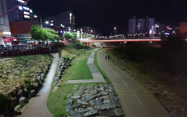 대전천변 모습