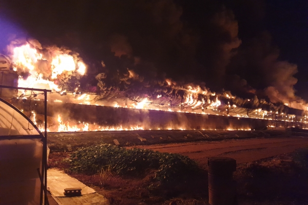 3일 오후 11시 11분께 천안 직산읍 한 돈사에 화재가 발생한 모습. 천안서북소방서 제공.