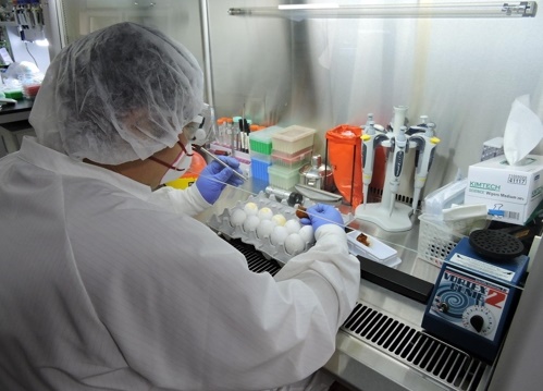 19일 세종시 보건환경연구원 동물위생시험소가 시민들에게 안전한 식용란을 공급하기 위해 관내에서 생산 및 유통되는 식용란에 대한 미생물 검사를 확대한다.