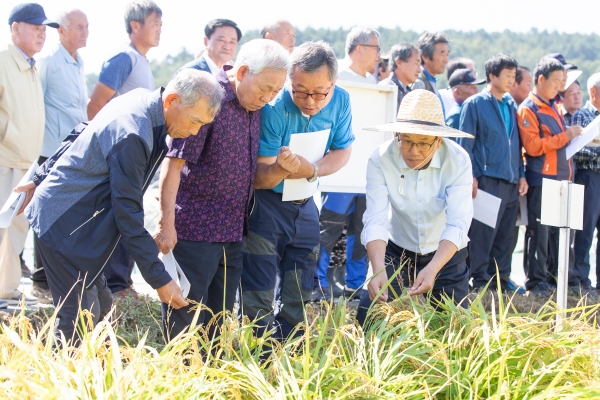 24일 청양군농업기술센터가 군내 각 마을이장, 벼농사연구회원 등 130여명이 참석한 가운데 ‘벼 밀묘소식 재배 확대 보급을 위한 종합평가회’를 열었다.