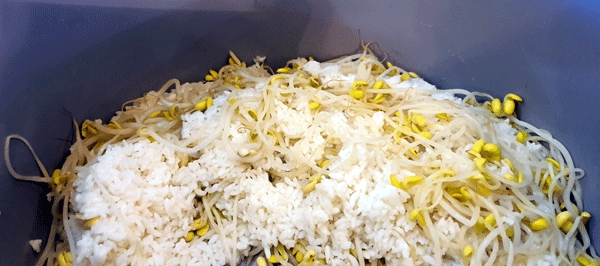 별미 콩나물밥