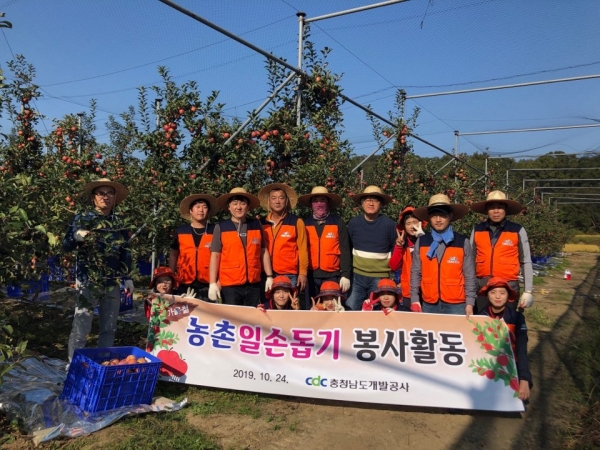 충남개발공사 임직원들은 24일 예산군 봉산면 소재 과수농가를 찾아 사과 수확 일손돕기 봉사활동을 펼쳤다.