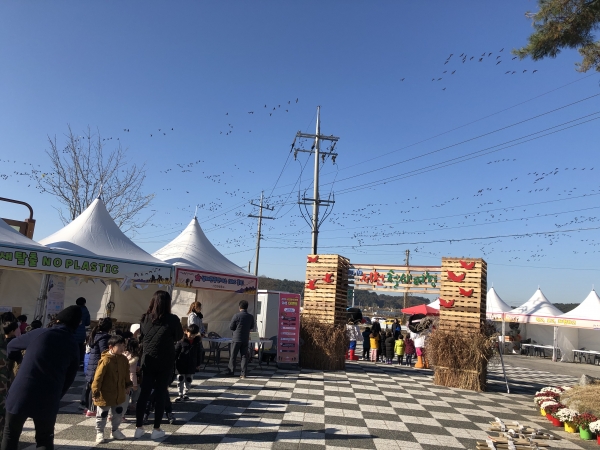 철새 떼가 장관을 이룬 서천군 금강하구 조류생태전시관 일대에서 방문객들이 철새여행을 즐기고 있다.