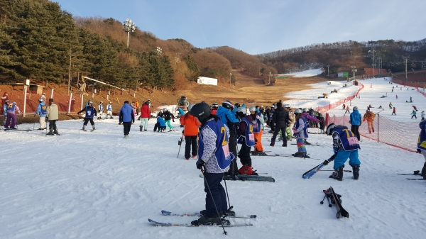 세종시 드림스타트가 14일부터 2일간 용인 양지파인리조트에서 드림스타트 아동의 겨울스포츠 체험 및 안전의식 제고 향상을 위해 ‘드림키즈 스키캠프’를 가졌다.