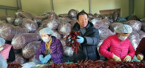 권혁남 이비가푸드 회장이 충남 청양 고추가공현장을 방문해 꼭지 따는 작업에 참여해 고추를 들어 올리고 있다.
