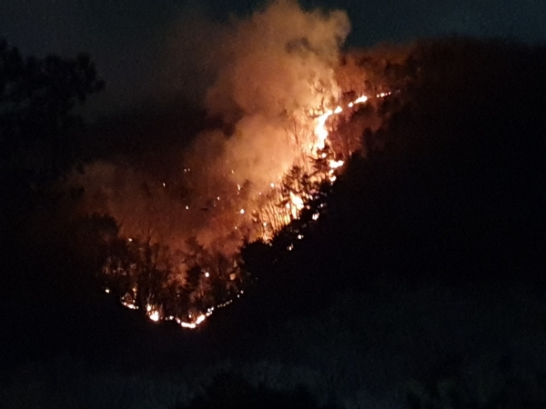 26일 오후 8시 48분 공주시 반포면 계룡산 국립공원 인근 야산에서 불이 나 대응1단계가 발령돼 진압하고 있으며 인명피해는 없다.