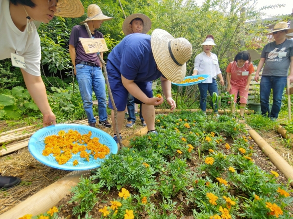 2019 드림위드 프로젝트 선정 단체 에버팜의 '치유농장 프로그램'.