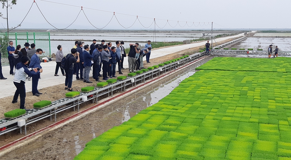 서산시 농업기술센터가 25일 창리일원에서 벼 육묘상자 자동이송장치 시연을 했다.