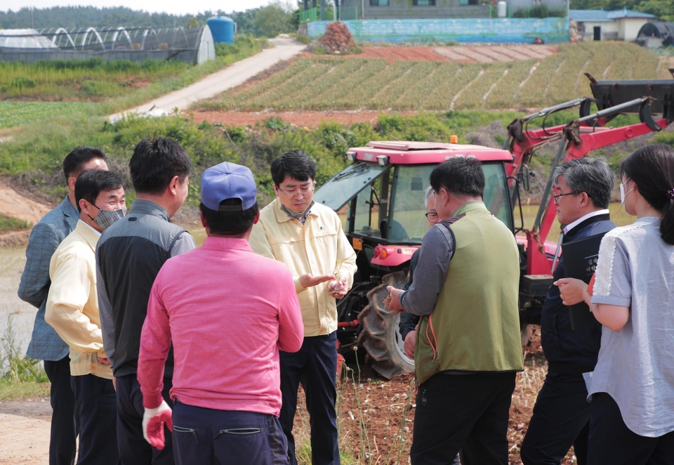 맹정호 서산시장이 마늘 산지폐기 현장을 방문해 상황을 점검하고 농민들의 애로사항을 듣고 있다.