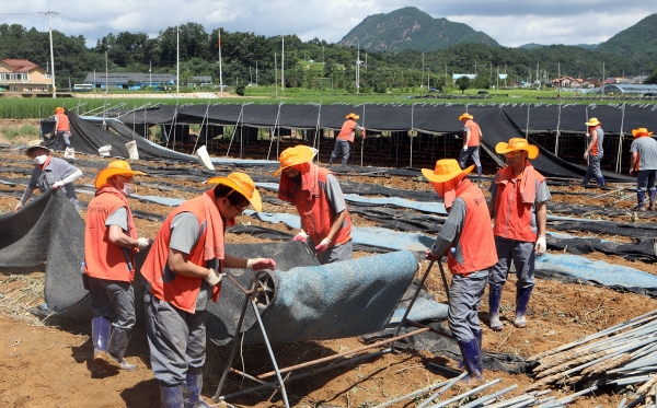 한국타이어 임직원들이 금산지역 수해복구 현장에서 봉사활동을 진행하고 있다.