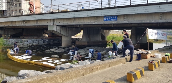 27일 2시 대전천 문창교 인근에서 진행한 수질오염사고 가상 방제훈련 모습 중 오일휀스와 유흡착포 설치 모습