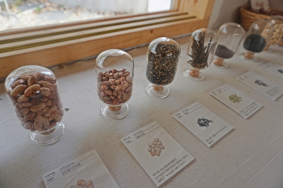 지난 11월 공주 제민천변 옛 수선집에서 열린 전시장 모습. 공주에서 발굴·수집한 토종씨앗들이 전시돼있다.