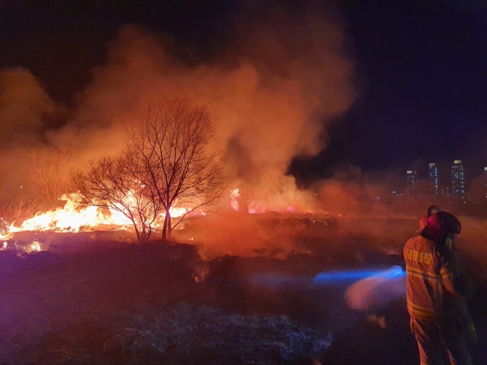 21일 저녁 세종시 금강 수변공원 인근에서 연쇄 화재가 발생했다. 사진은 현장 수습 모습.