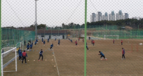 훈련하는 대전하나시티즌 선수들.