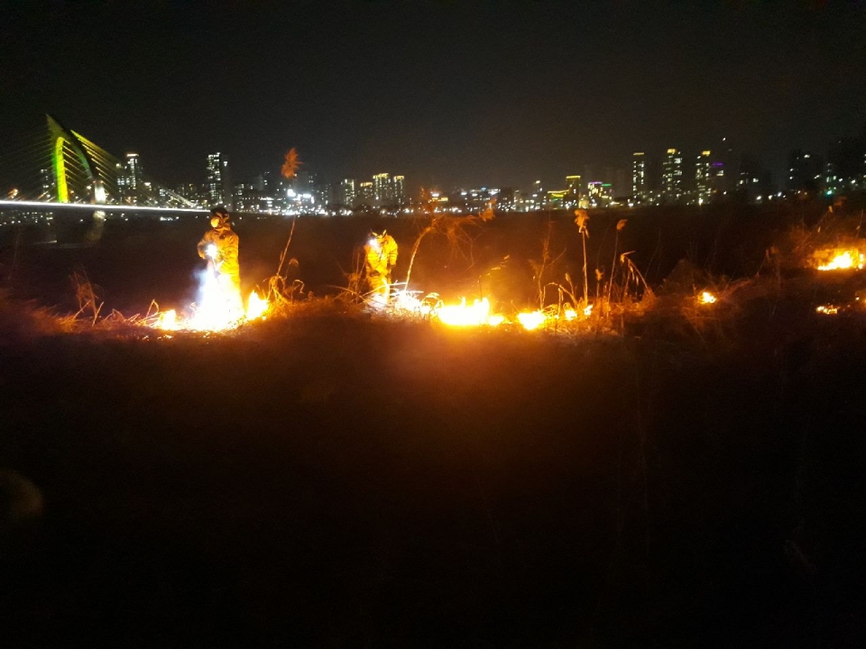 지난 7일 밤 발생한 세종시 금강변 화재 수습 모습. (사진=세종소방본부)