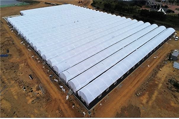 당진화력 온배수열 활용한 첨단 친환경 양식장