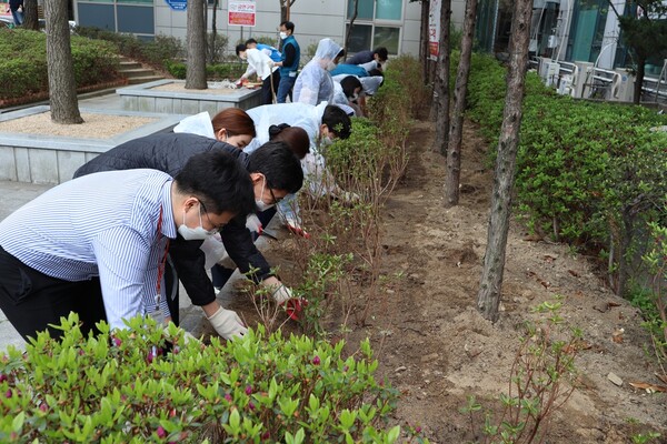 대전센텀병원 임직원들이 식목일을 맞아 나무를 심고 있다.