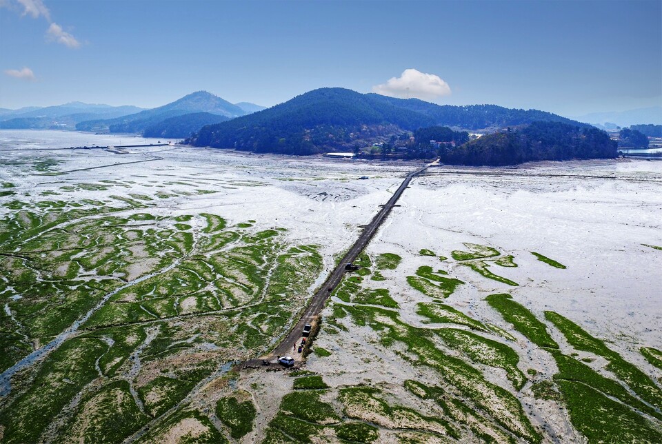 가로림만 사진전에서 대상을 차지한 ‘더 가로림만 : 고요한 飛上’