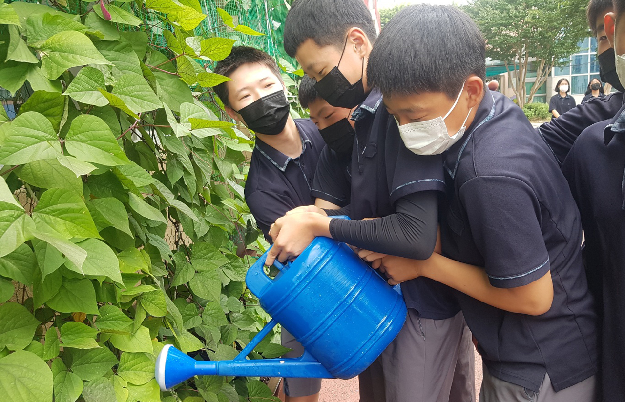 천안북중의 특색 환경교육 프로그램인 녹색커튼 만들기 모습. 학생들이 덩쿨에 물을 주고 있다.