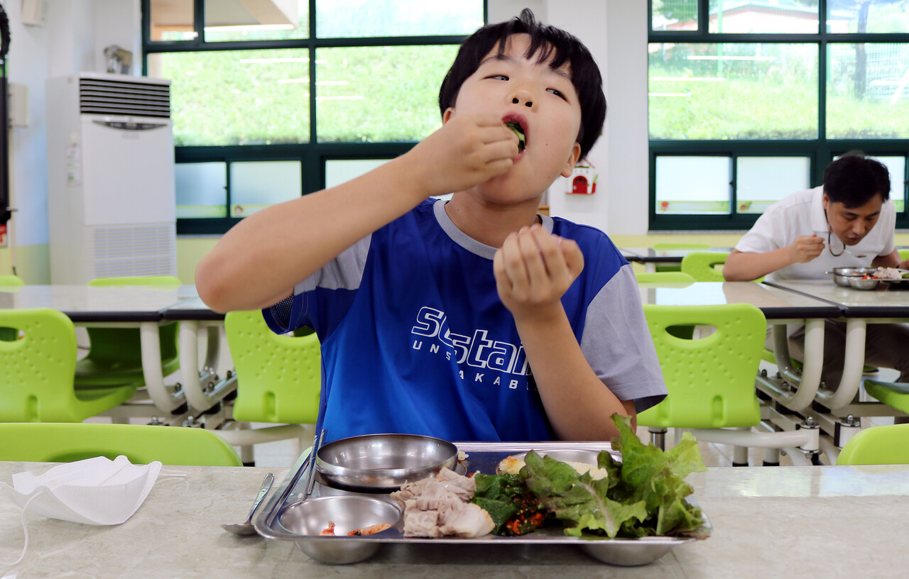 직접 텃밭에서 가꾼 채소로 점심 식사를 하고 있는 청남초 학생. 