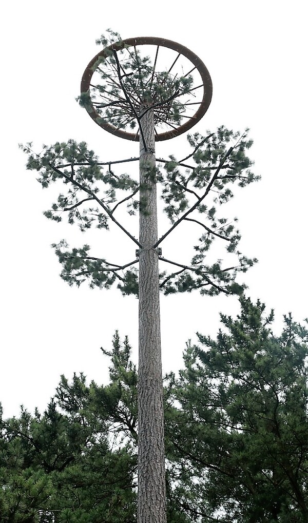 태안군 남면에 설치된 황새 인공둥지탑. 태안군 제공.