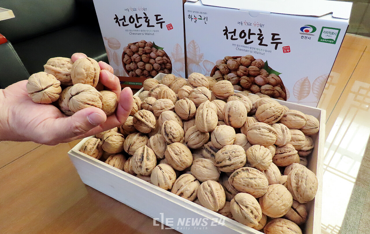 천안 호두, 700년 역사 지켜온 고소한 풍미를 느끼다 천안 호두, 700년 역사 지켜온 고소한 풍미를 느끼다