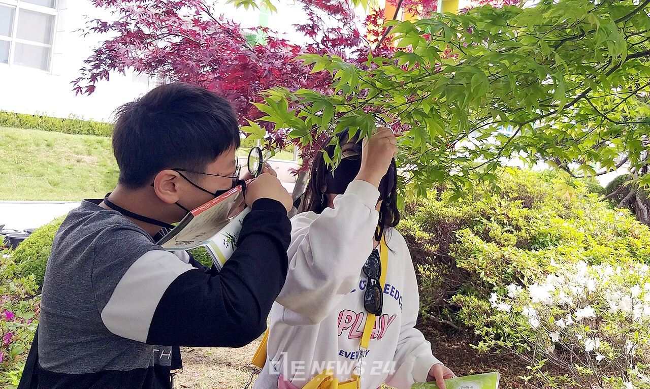 서산 차동초 학생들이 환경생태교육의 일환으로 학교 정원에 심어진 나무를 관찰하고 있는 모습.,