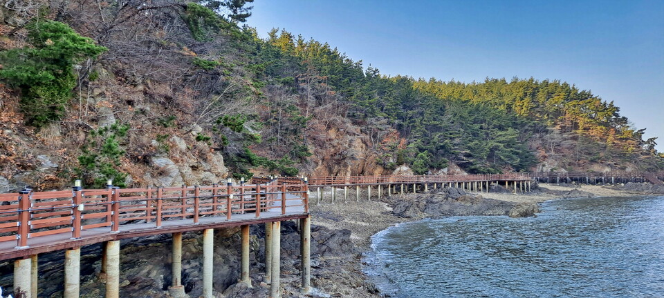 솔향기길 데크. 태안군 제공.