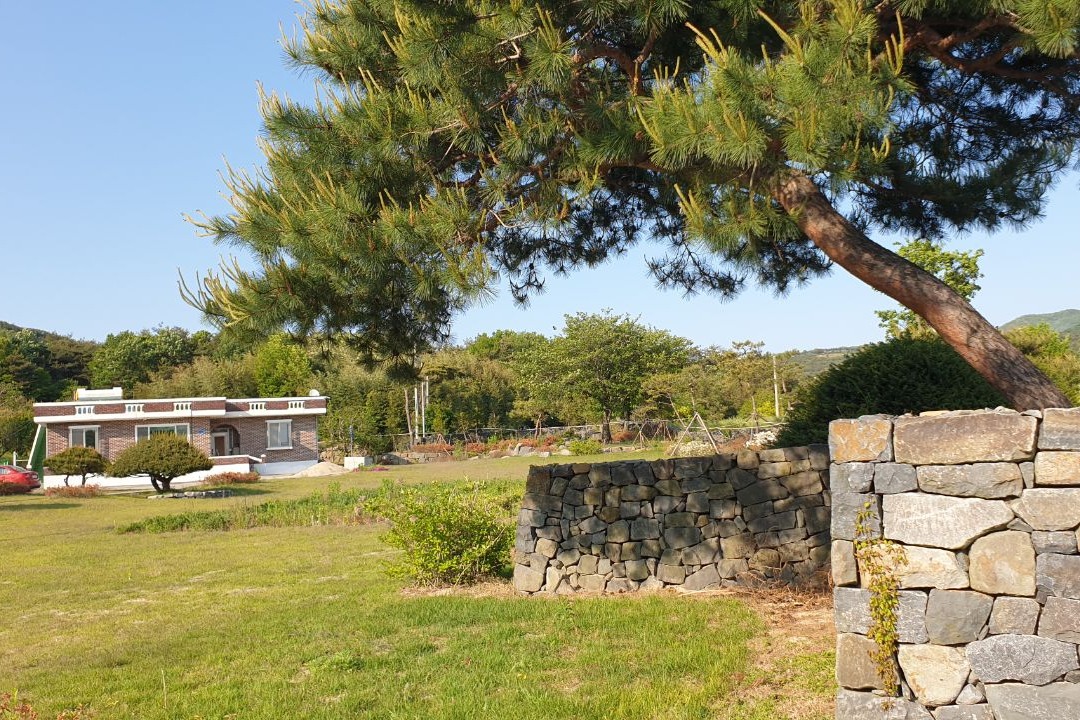 김태흠 국민의힘 충남지사가 소유한 보령시 웅천읍 수부리 토지. 양승조 후보 캠프 제공.