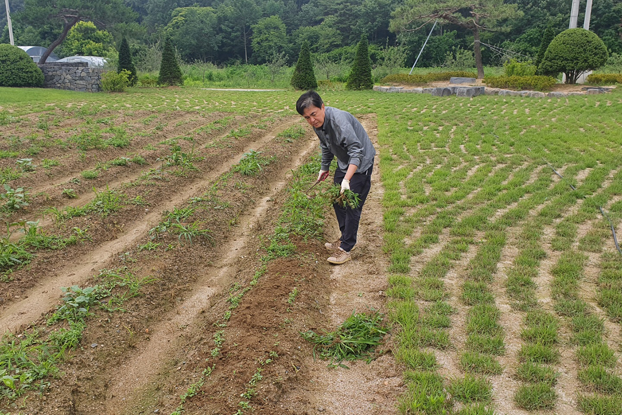 김태흠 국민의힘 충남지사 후보는 23일 양승조 더불어민주당 후보 측이 주장한 농지법 위반 의혹에 ‘사실무근’이라고 밝혔다. 김태흠 후보 캠프 제공.