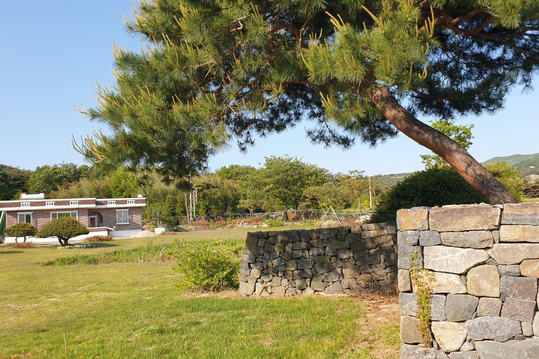 김태흠 국민의힘 충남지사 후보의 농지법·건축법 위반 등 의혹이 열흘도 남지 않은 충남지사 선거를 뜨겁게 달구고 있다. 사진은 김 후보의 보령시 자택과 인근 토지 전경. 양승조 캠프 제공.