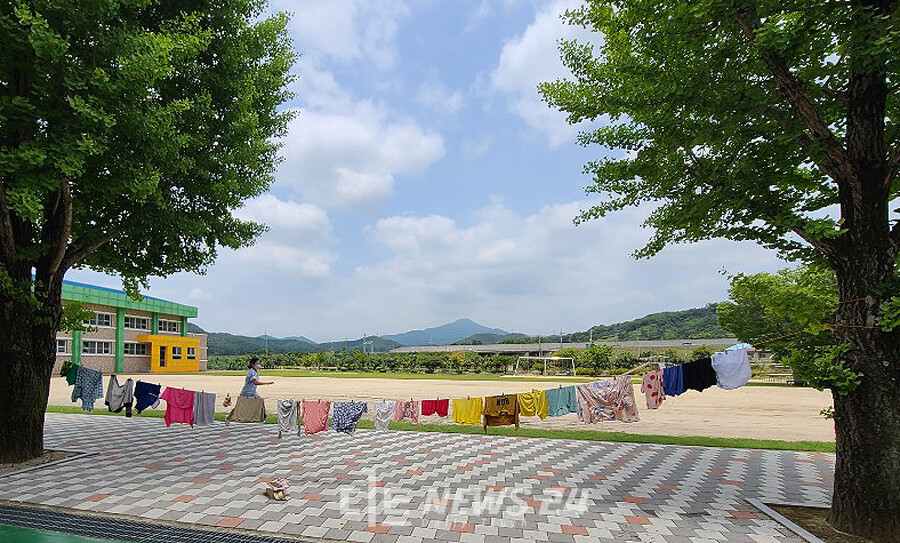 충남 보령시 청라초등학교 학생들이 '친환경 모아모아 빨래방' 활동을 통해 널어놓은 빨래들.