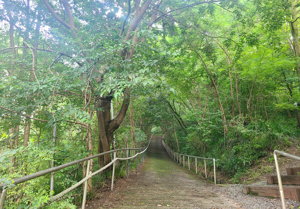 월평산성으로 향하는 산책로 전경. 한지혜 기자.