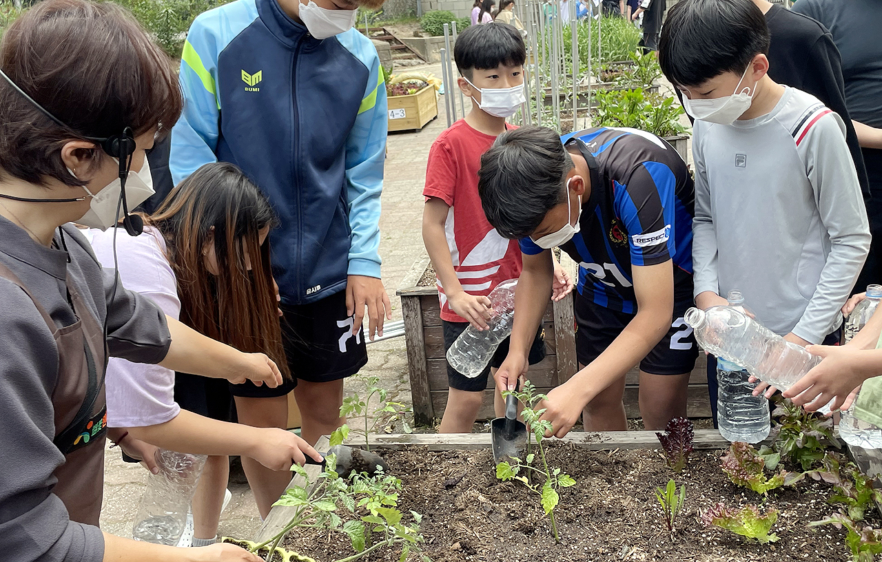 충남 천안시에 위치한 성거초등학교는 전문 강사와 협력수업 방식으로 지난 5월부터 ‘친환경 텃밭 교육’을 실시하고 있다. 성거초 제공.