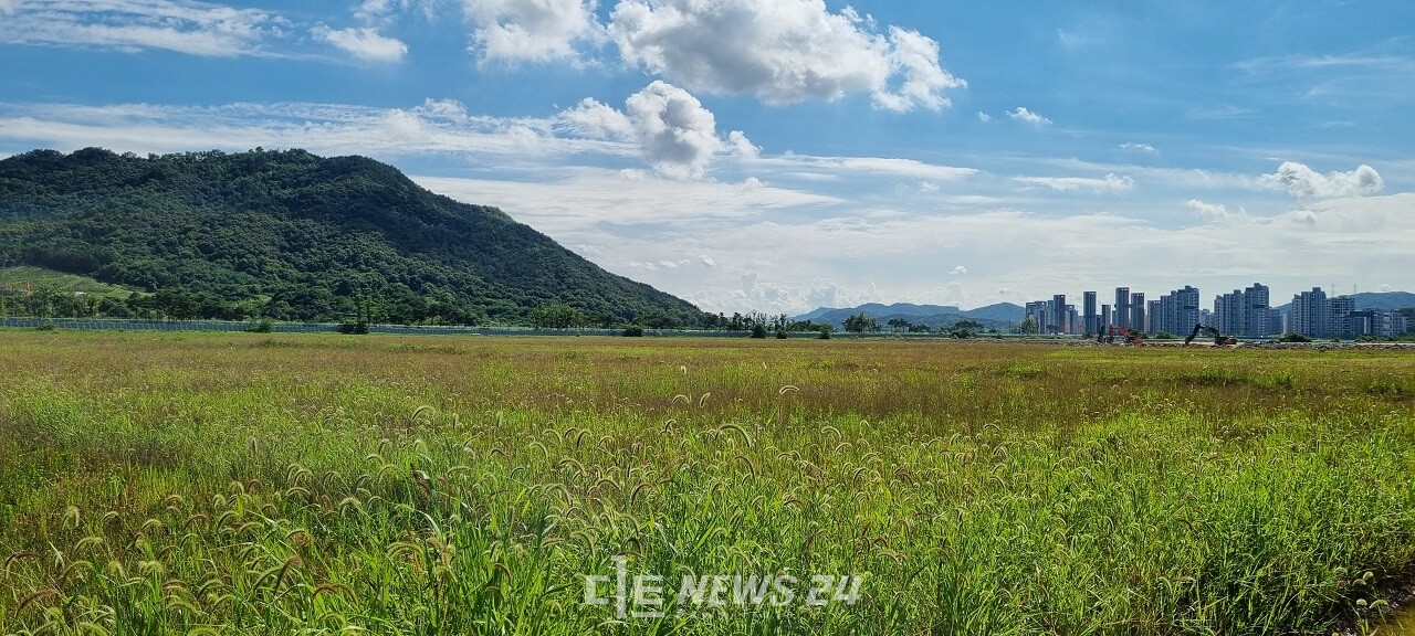 17년간 기다림의 세월.을 흘려보낸 국회 세종의사당 후보지 전경. 자료사진. 