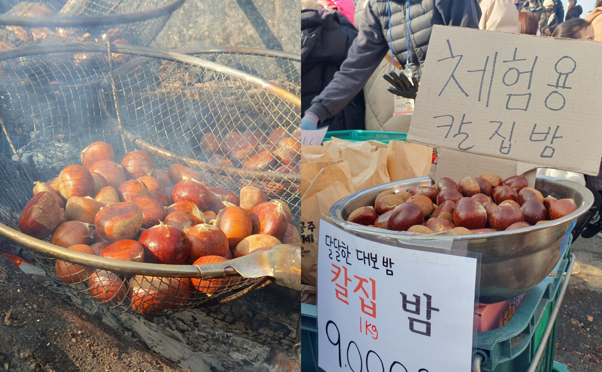 공주시 군밤축제는 8일 저녁 8시까지 열린다. 김다소미 기자. 