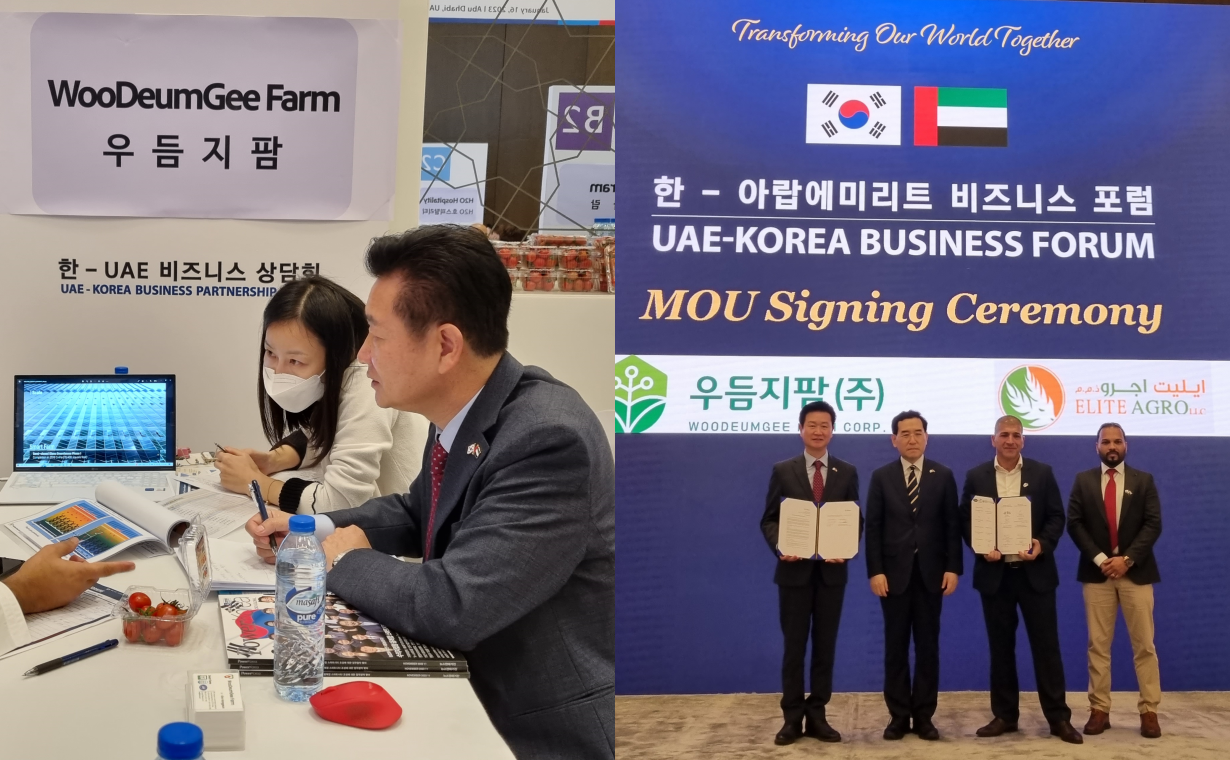 규내 최대 규모의 스마트팜 시설을 갖춘 부여 기업 '우듬지팜'이 이번 윤석열 대통령 UAE 순방에 경제사절단 자격으로 동행했다. UAE 최대 농업회사법인과 MOU를 체결하며 수출길을 활짝 열었다. 우듬지팜 제공. 