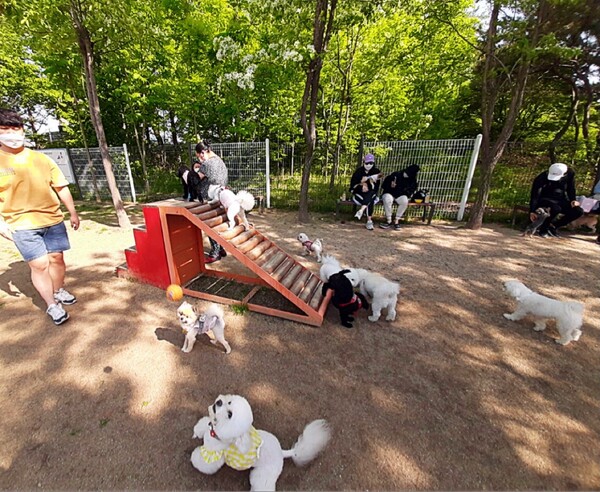 충청권(대전·세종·충남) 반려동물 수가 24만1000마리에 육박하지만 법과 제도가 현실을 따라가지 못하고 있다. 자료사진.