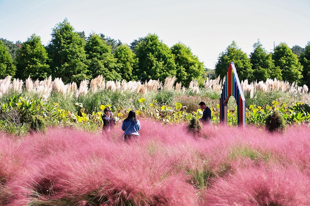 청산수목원. 태안군 제공.