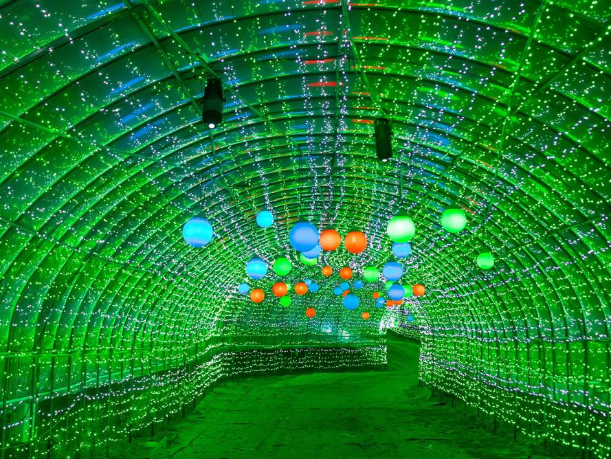 태안 빛 축제가 열리는 네이쳐월드. 태안군 제공.